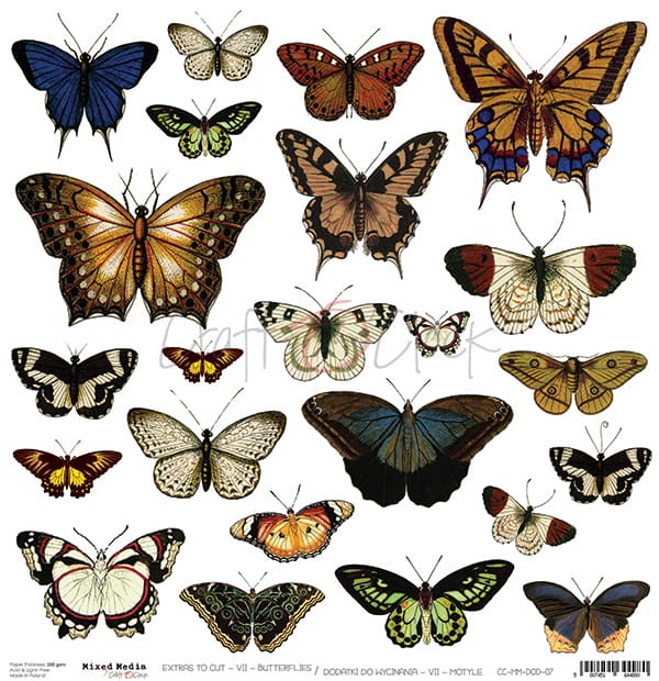 Motyle W Ogrodzie Najpopularniejsze Gatunki Motyli I Rosliny Wabiace Zielony Ogrodek